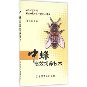 中蜂高效饲养技术 罗岳雄 主编 著作 养殖 专业科技 中国农业出版社 9787109217805
