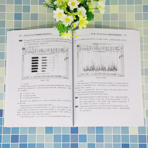 Microsoft Power BI数据建模与可视化快速上手 王国平 著 数据库 专业科技 清华大学出版社 9787302567615
