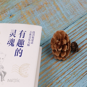 有趣的灵魂：段召旭对话古典音乐 段召旭 著 文艺其他 艺术 天地出版社
