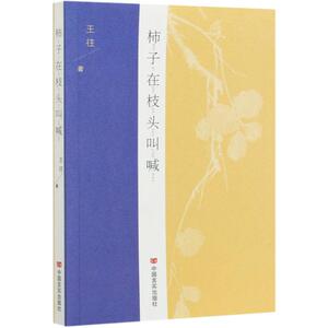 柿子在枝头叫喊 王往 著 中国现当代文学理论 文学 中国言实出版社