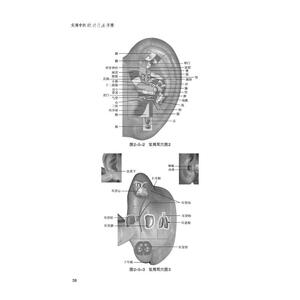 实用中医微针疗法手册 郭长青 著 中医各科 生活 中国医药科技出版社