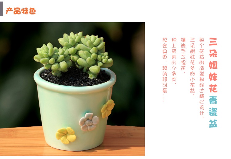 Three sisters flower celadon flower pot ceramic creative hand - made flowers round lovely fleshy flower pot in household indoor the plants