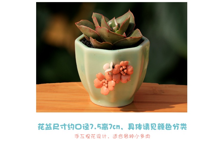 Three sisters flower celadon flower pot ceramic creative hand - made flowers round lovely fleshy flower pot in household indoor the plants