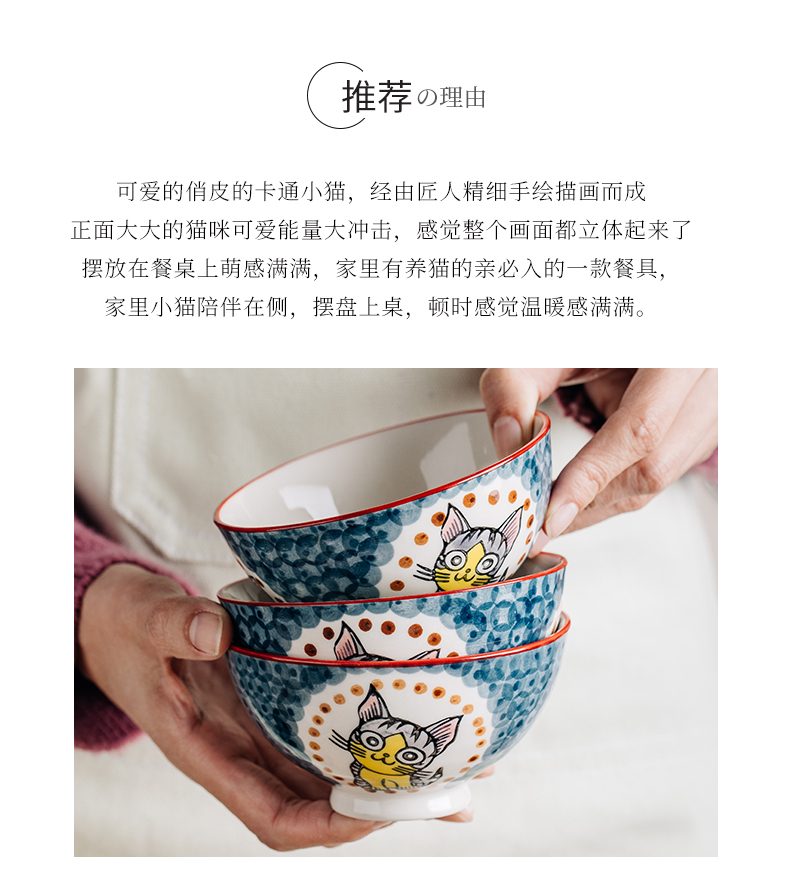 Creative dishes suit household web celebrity ins use tableware jingdezhen ceramic bowl dish playful cat express it in the cartoon