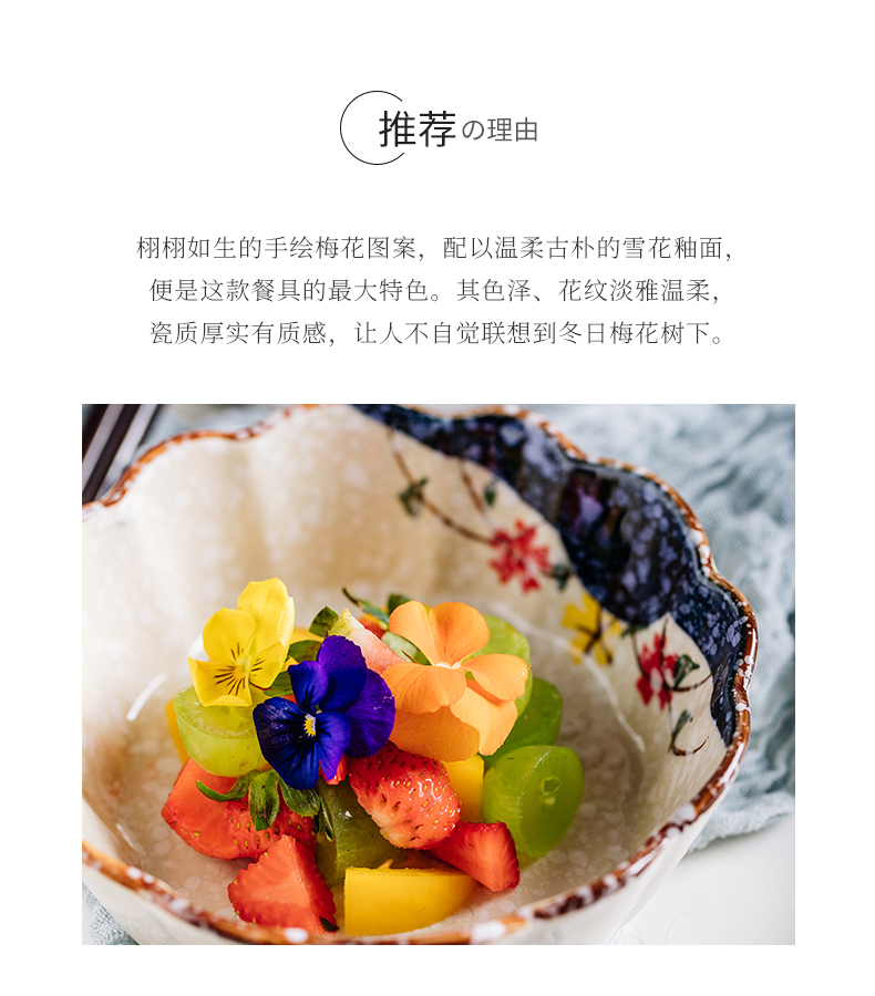 Japanese creative household fruit salad bowl move dessert bowl of the food bowl of ice cream ceramic bowl of salad bowl cake