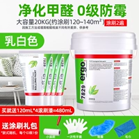 【20L Пакет】 5-в-1 Экологическая латексная краска