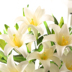 Mô phỏng hoa lily giả hoa cao cấp hoa lụa phòng khách trang trí nhà trang trí hoa vĩnh cửu hoa lily - Hoa nhân tạo / Cây / Trái cây cây giả trang trí trong nhà Hoa nhân tạo / Cây / Trái cây