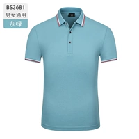 Серо-зеленый-папа и розетка-BS3681