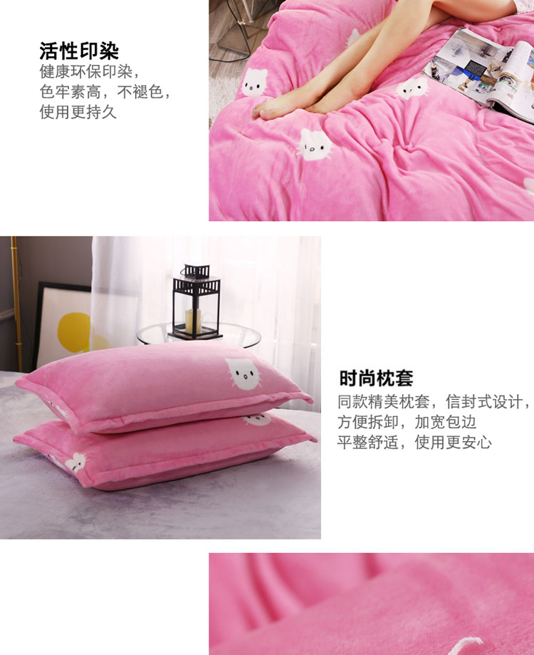 Chăn hai mặt dày san hô đơn mảnh mùa đông nhung flannel quilt bìa sang trọng ấm sinh viên đơn đôi vỏ chăn cotton