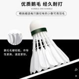 Кавасаки Кавасаки Бадминтон -Клуб -Улис