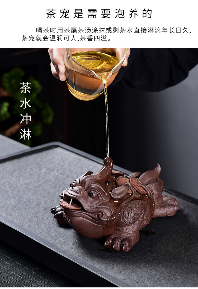 Tao blessing, violet arenaceous daikin pet toad tea to raise three lucky play tea sets and accessories tea fine toad furnishing articles