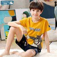 6621 Том кот мальчик