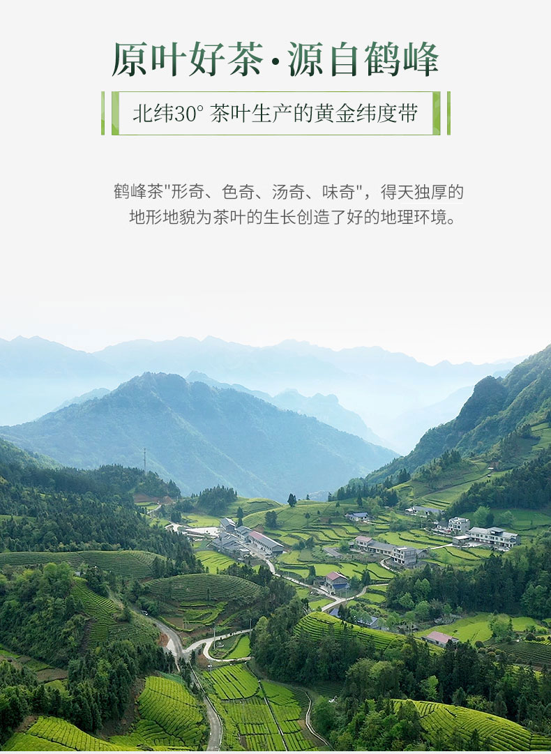 美灵宝  恩施早春红茶小罐装 50g 图4