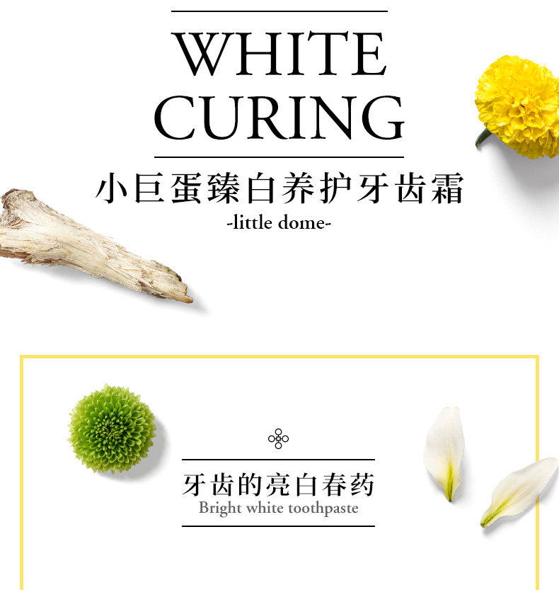 美国FDA认证品牌  小巨蛋 臻白养护牙齿  植物氨基酸牙膏 160g 图2