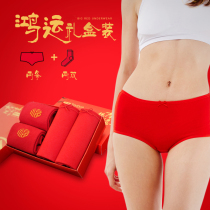 Spin butterfly this year womens underwear mens breifs pure cotton wedding Big Red Youth Hongyun flat corner shorts head