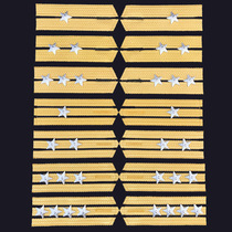  Veterans souvenirs 87-style 87-style Haiganjun hard epaulette medal inventory old-fashioned veteran collection