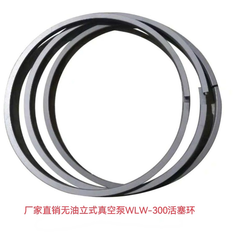 Vertical Oil-Free Vacuum Pump Piston Ring Guide Ring Wlw Vacuum Pump Piston