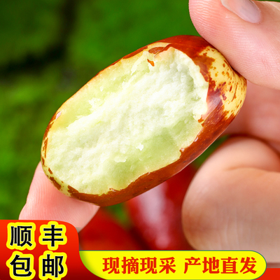 [【顺丰包邮】现摘现发宁夏红枣灵武长枣大果新鲜脆枣孕妇水果]