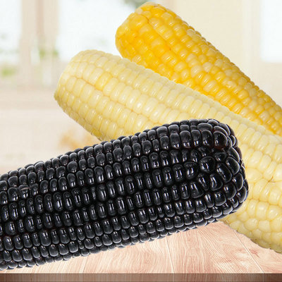 崇明岛黑糯玉米棒新鲜黏甜水果粘玉米粒即食速冻爆米花面粉东北神
