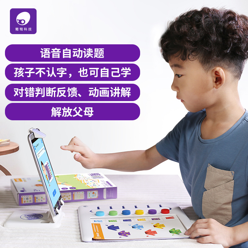 葡萄科技 逻辑派对 1-4阶全套套装 儿童逻辑思维训练 图3