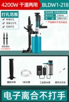 BLDW1-218 Бесстраночный розы