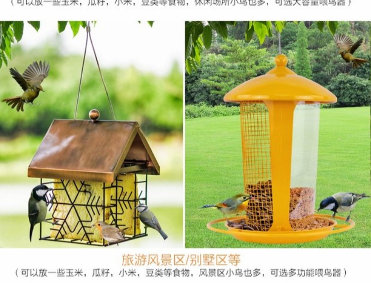 Kim loại tự động chim trung chuyển chim cho ăn chim vẹt chim bồ câu thư chim bồ câu thức ăn chim thức ăn chim cung cấp ngoài trời chim - Chim & Chăm sóc chim Supplies 	cám cho chim hút mật	