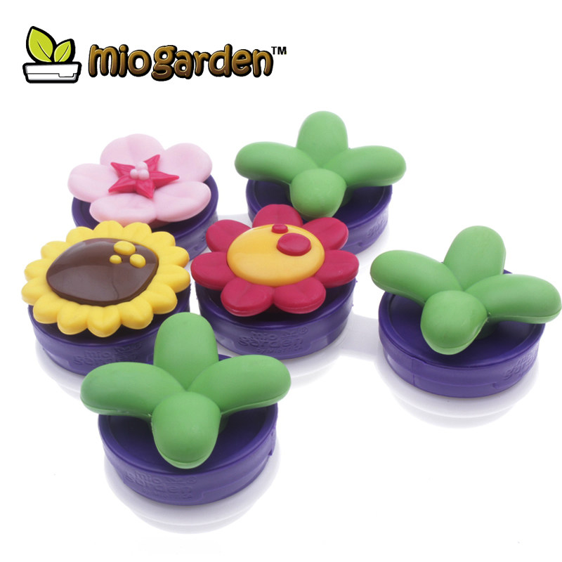 Korean Wonderful Delivery Garden Series Beauty Pupil Contact Lens Twin box small chick chamomile Cherry Blossom Sunflower anti-counterfeiting