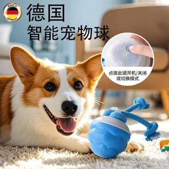 Germany's Latest Automatic Dog Ball Toy, Intelligent Sound and Light-Emitting Ball, Electric Rolling Ball Toy