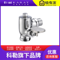 Kohlers Carrie toilet bowl squat toilet pedal flush valve switch full copper foot pedal 17905T