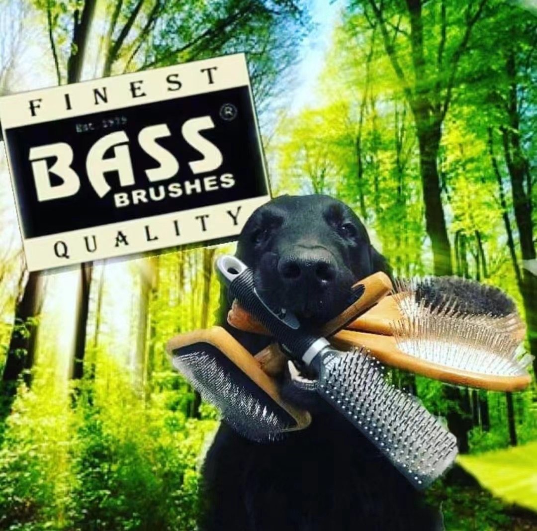 American BASS Professional Pet Beauty Combed Comb Comb Wooden Handle Comb Pooch Beauty Comb Cat to Mao