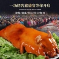 晨之祥乳猪批发供应链