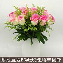 Yunnan Kunming Base Straight Hair Rose Flowers Flowers Straight Batch Water Raising Rose Bottle Inserts Wedding Celebration Home Fresh Cut Flowers