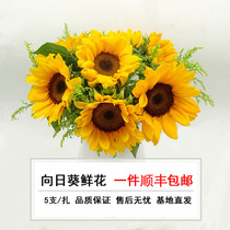 Yunnan Kunming Sunflower Flowers Straight Hair Free Postage Family Flower Arrangement Sun Flower Freshcut Flowers a Courier
