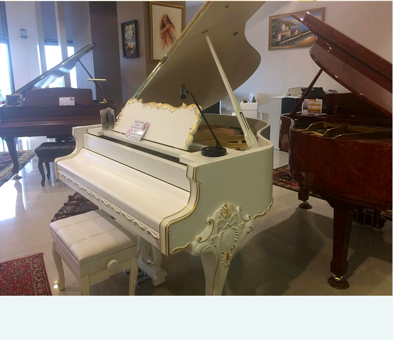 Cloris clorris tùy chỉnh đàn piano phong cách baroque SF-152 nhập khẩu cao - dương cầm