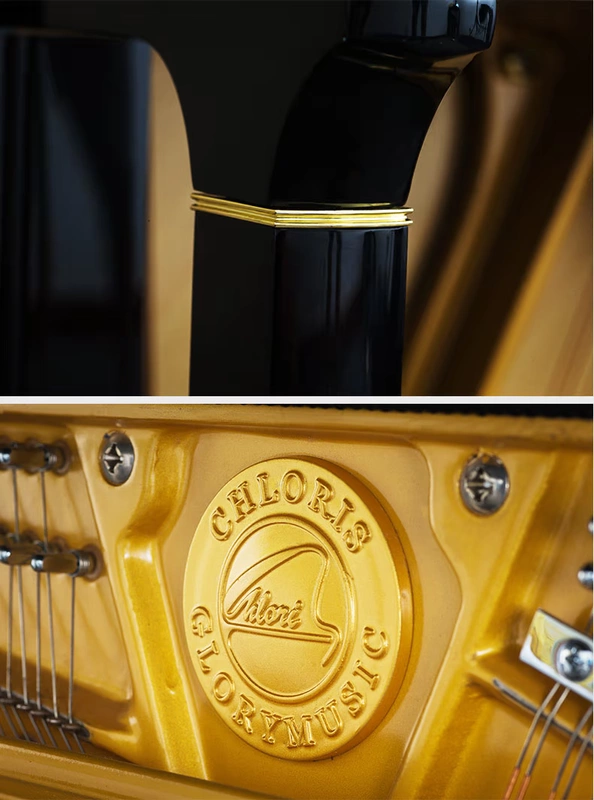 Cloriris cloriris upright piano hoàn toàn mới chơi piano chuyên nghiệp GL123 Cấu hình nhập khẩu thủ công của Đức