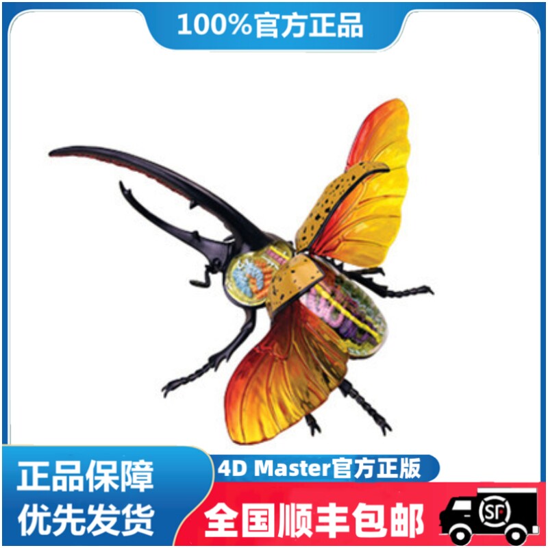 4D Master益智拼装玩具仿真动物生物大力士甲虫器官解剖模型医学