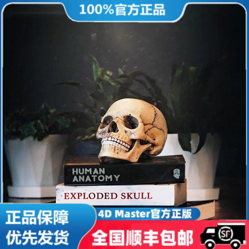 正版 现货  4D MASTER 益智拼装玩具 原色人体头骨器官解剖模型