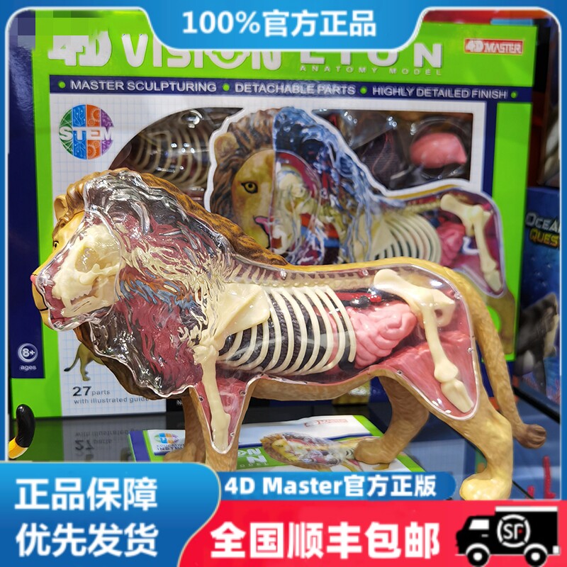 正版 4D Master狮子解剖模型动物拼装玩具益智模型医学教学摆件