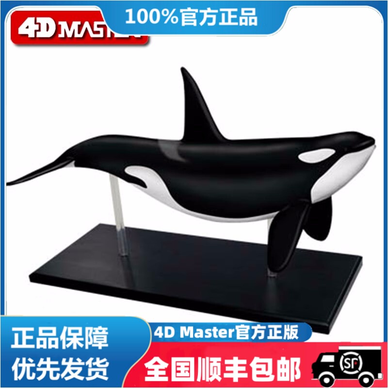 4D Master益智拼装玩具仿真动物生物鲸鱼器官解剖医学用教学模型