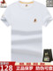 大牌正品保罗圆领纯棉短袖男士t恤夏季休闲宽松半袖轻奢大码体恤T