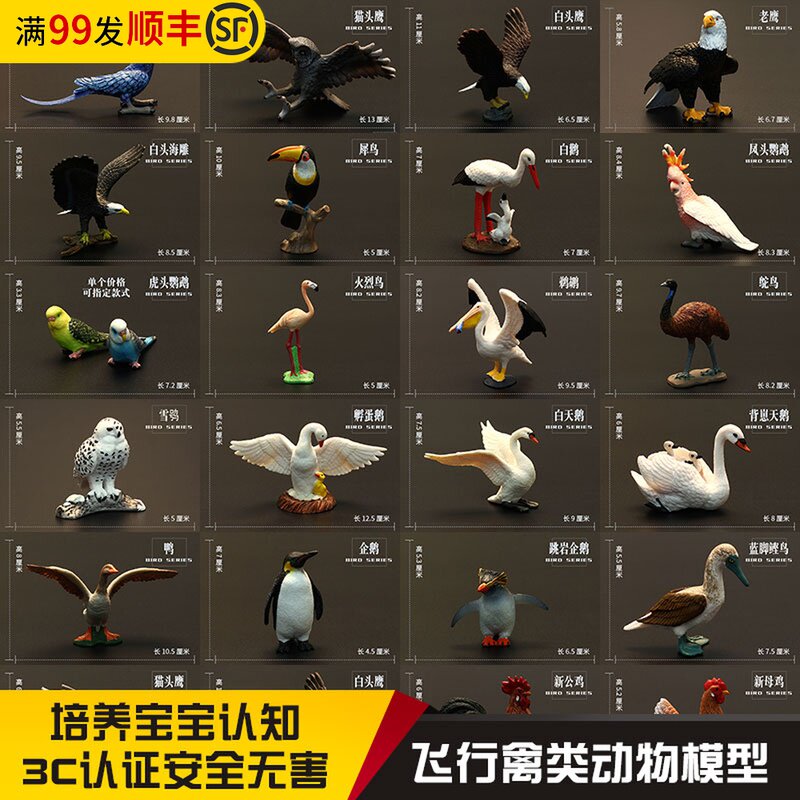 Solid children's simulation animal model set Birds Birds Animal toys Swan Eagle Parrot Swan Peacock