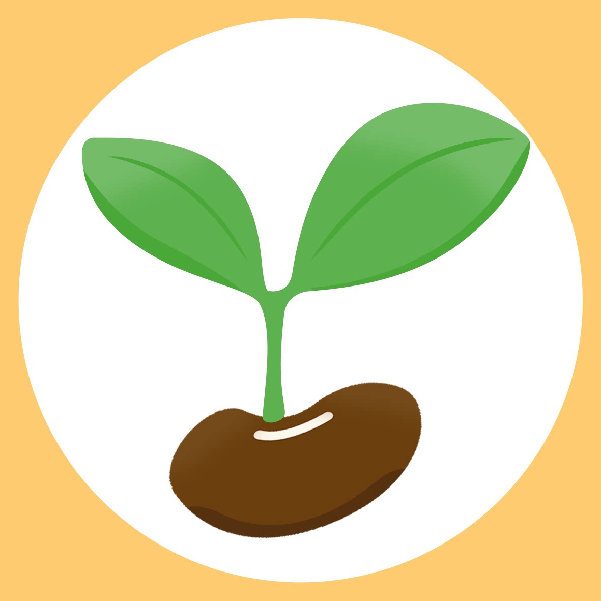 豆丁玩具社的LOGO