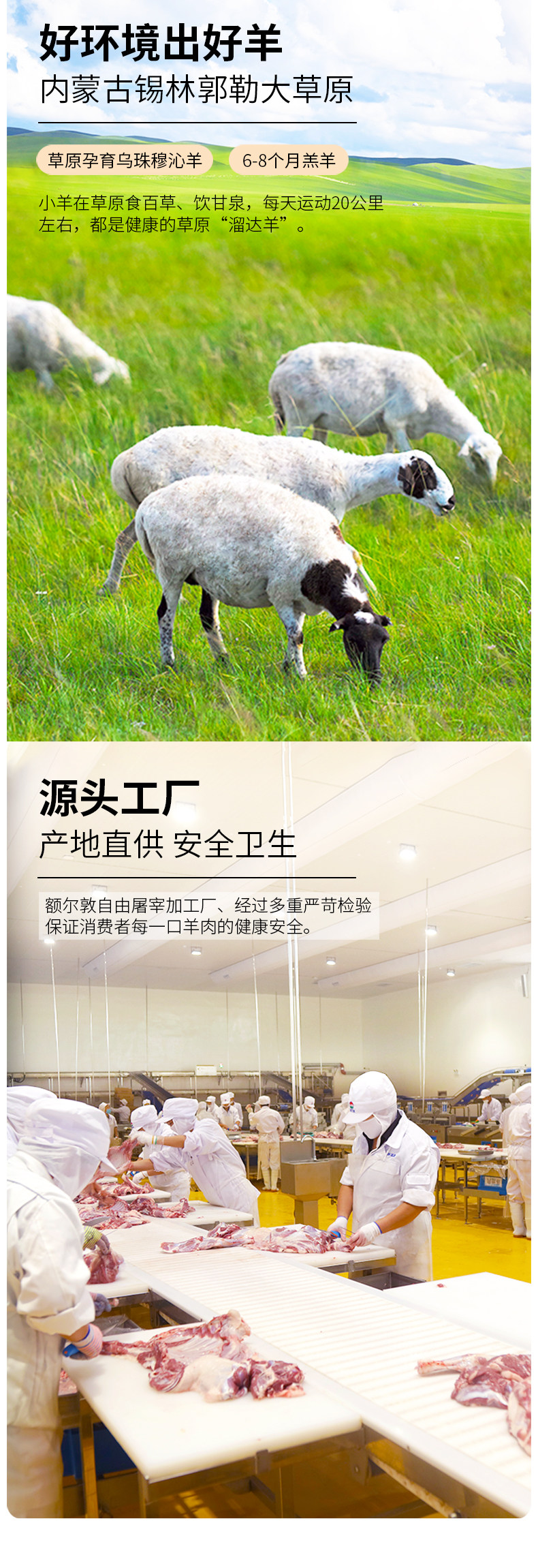 中国地理标志认证 额尔敦 内蒙乌珠穆沁羔羊 整只后腿 3.4斤 图6