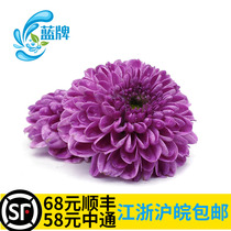 (Blue brand) fresh grape purple button chrysanthemum chrysanthemum flowers Western food Daily hotel set plate decoration 21