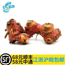 (Blue brand) Old Nanjiang fresh ginger Reed ginger mountain Ginger Winter Yin Gong soup spices 500g