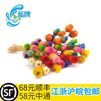 (Blue Brand) Colorful Dry Happy Flower Hotel Western Food Daily French Food Hotel Decoration Plate 50 Pot