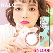 [Trung tâm mua sắm có cùng đoạn] HALO beauty day ném đường kính nhỏ 10 mảnh màu nâu tự nhiên kính áp tròng cận thị - Kính đeo mắt kính
