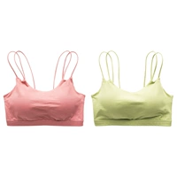 Meizi Fan+Fruit Green