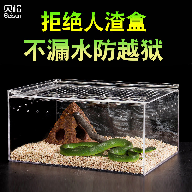 Climbing box feeding box Hermit crab spider One-horned fairy Pet snake beetle Lizard horned frog Acrylic reptile feeding box