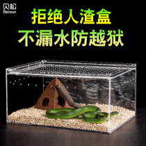 Climbing box feeding box Hermit crab spider One-horned fairy Pet snake beetle Lizard horned frog Acrylic reptile feeding box